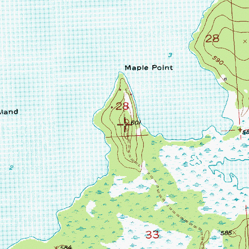 Topographic Map of Maple Point, MI