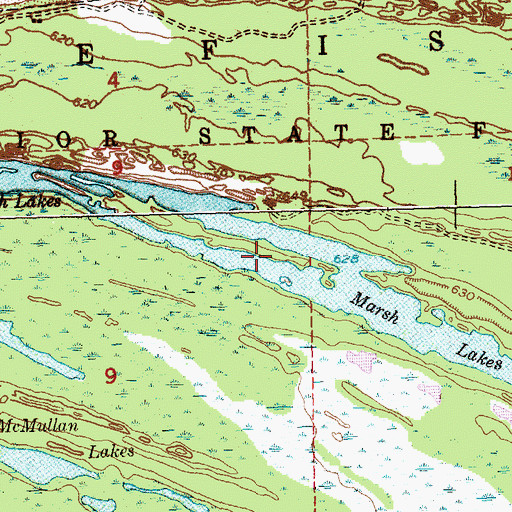 Topographic Map of Marsh Lakes, MI