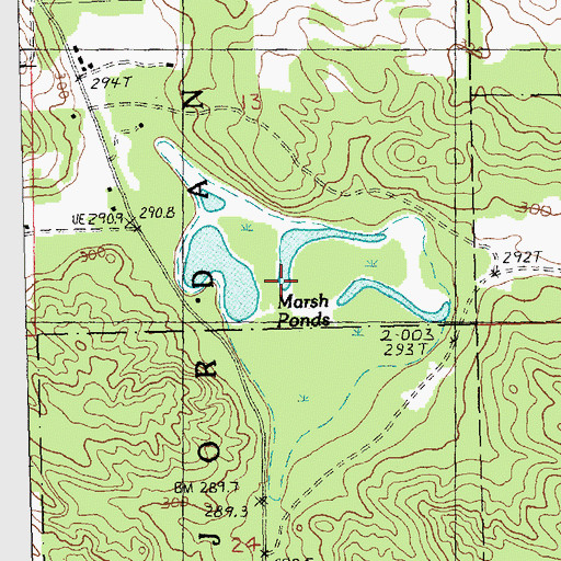 Topographic Map of Marsh Ponds, MI