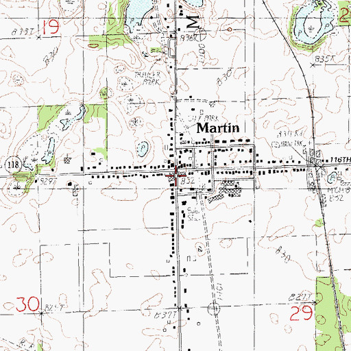 Topographic Map of Martin, MI
