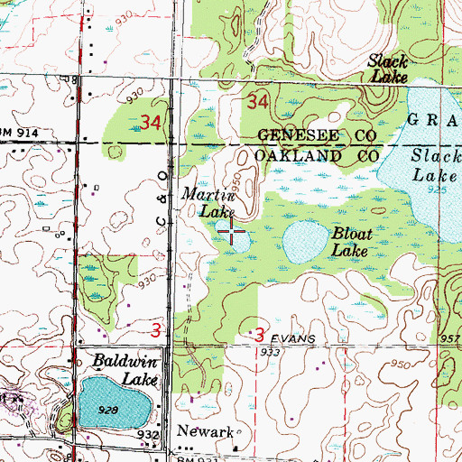 Topographic Map of Martin Lake, MI