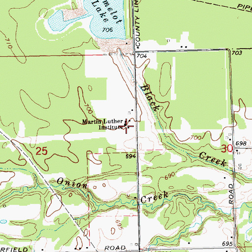 Topographic Map of Martin Luther Institute, MI