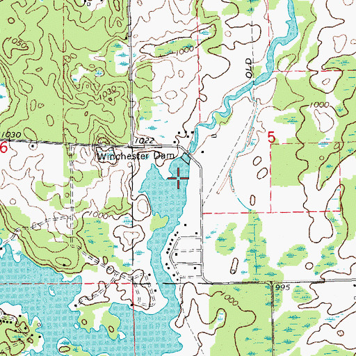 Topographic Map of Martiny Lake, MI
