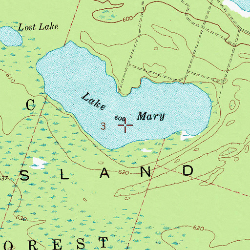 Topographic Map of Lake Mary, MI