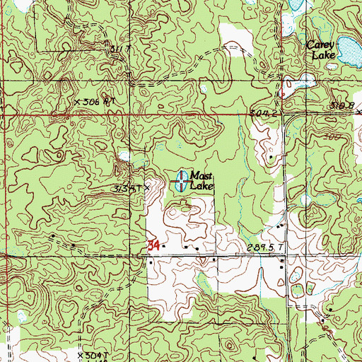 Topographic Map of Mast Lake, MI