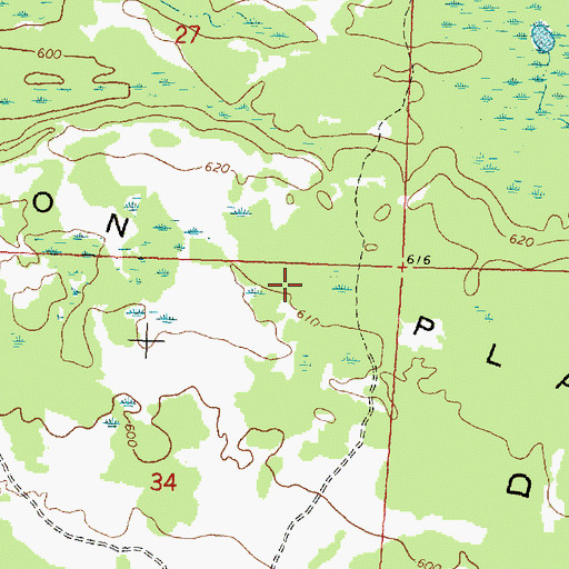 Topographic Map of Maxton Plains, MI