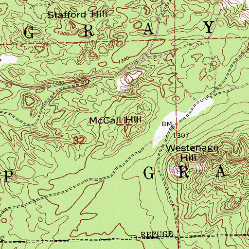 Topographic Map of McCall Hill, MI