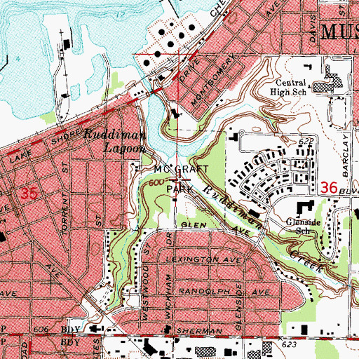 Topographic Map of McGraft Park, MI