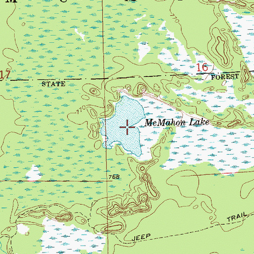 Topographic Map of McMahon Lake, MI