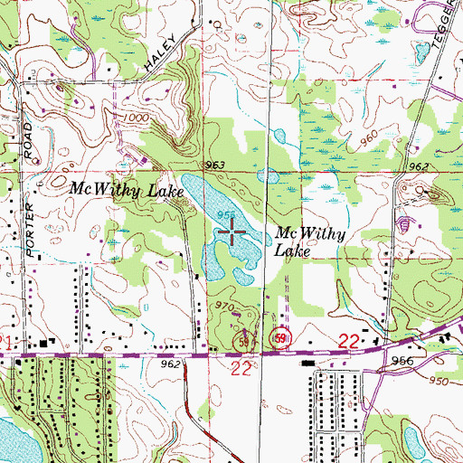 Topographic Map of McWithy Lake, MI