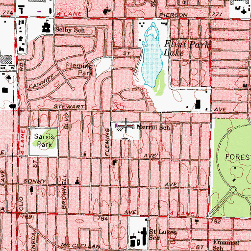 Topographic Map of Merrill School, MI