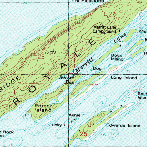 Topographic Map of Merritt Lane, MI