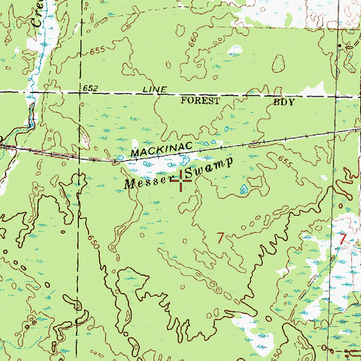 Topographic Map of Messer Swamp, MI