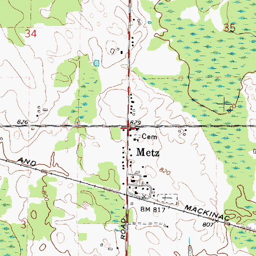 Topographic Map of Metz, MI