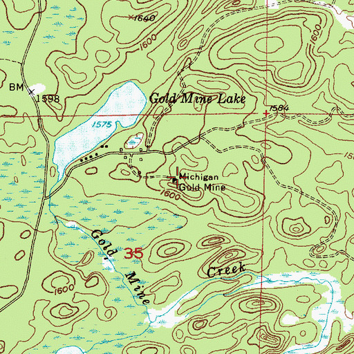 Topographic Map of Michigan Gold Mine, MI