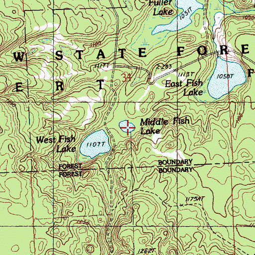 Topographic Map of Middle Fish Lake, MI