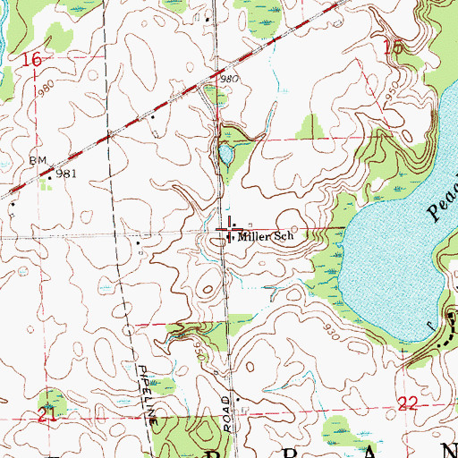 Topographic Map of Miller School, MI