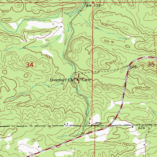 Topographic Map of Overturf Cemetery, AR