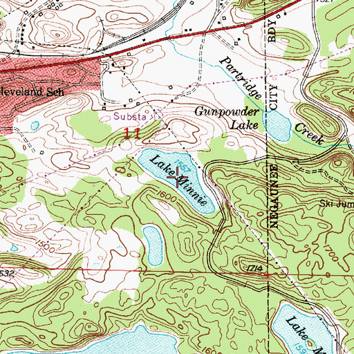 Topographic Map of Lake Minnie, MI