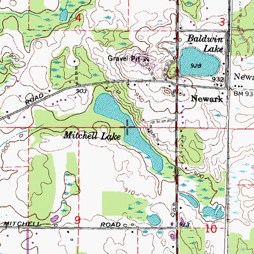 Topographic Map of Mitchell Lake, MI