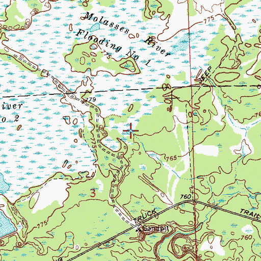 Topographic Map of Molasses River Flooding Number One, MI