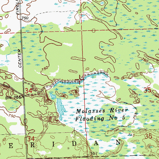 Topographic Map of Molasses River Flooding Number Five, MI
