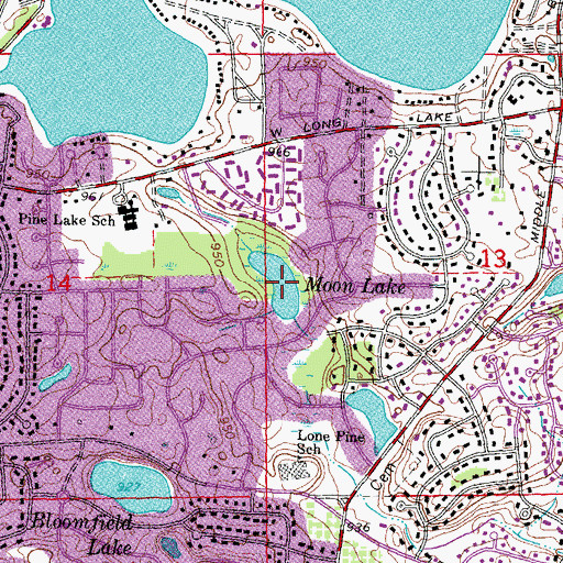 Topographic Map of Moon Lake, MI