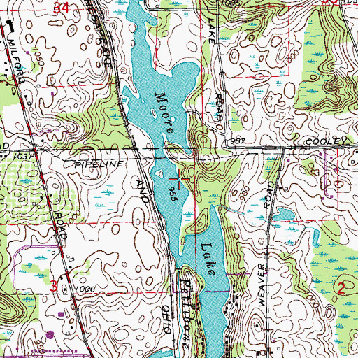 Topographic Map of Moore Lake, MI