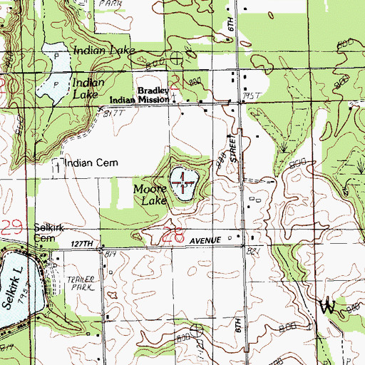 Topographic Map of Moore Lake, MI