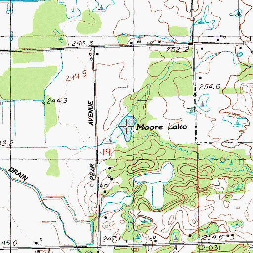 Topographic Map of Moore Lake, MI
