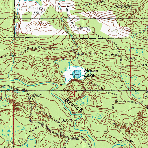Topographic Map of Moose Lake, MI