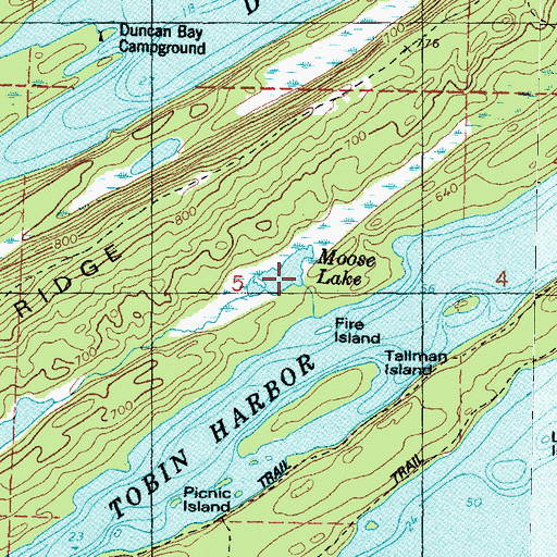 Topographic Map of Moose Lake, MI