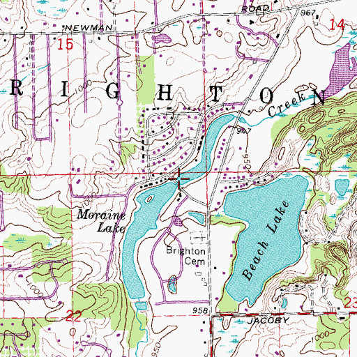 Topographic Map of Moraine Lake, MI