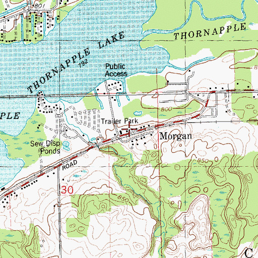 Topographic Map of Morgan, MI