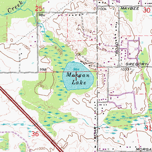 Topographic Map of Morgan Lake, MI