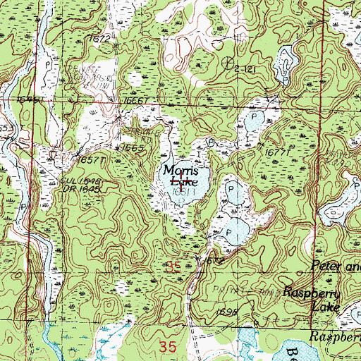 Topographic Map of Morris Lake, MI