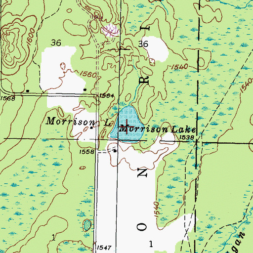 Topographic Map of Morrison Lake, MI