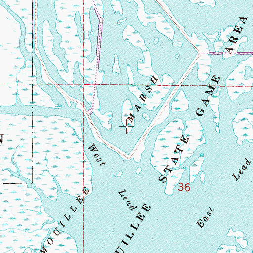 Topographic Map of Mouille March, MI