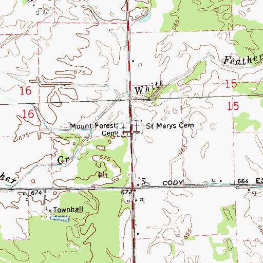 Topographic Map of Mount Forest Cemetery, MI