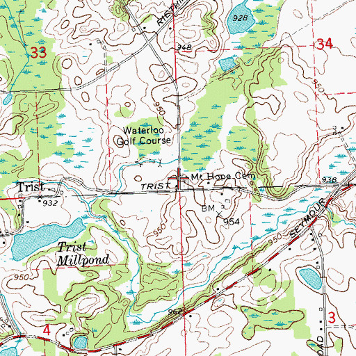 Topographic Map of Mount Hope Cemetery, MI