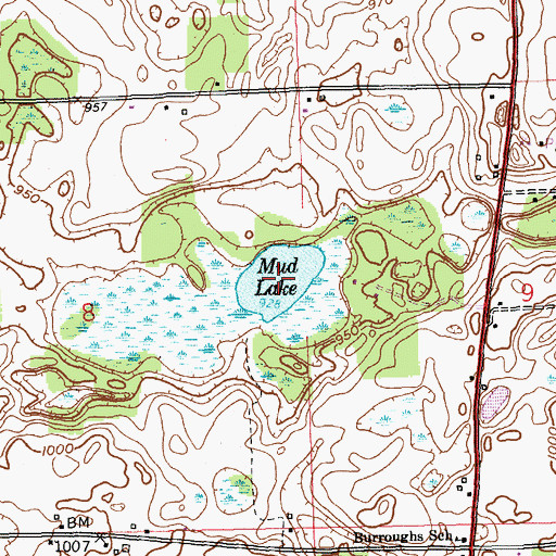 Topographic Map of Mud Lake, MI