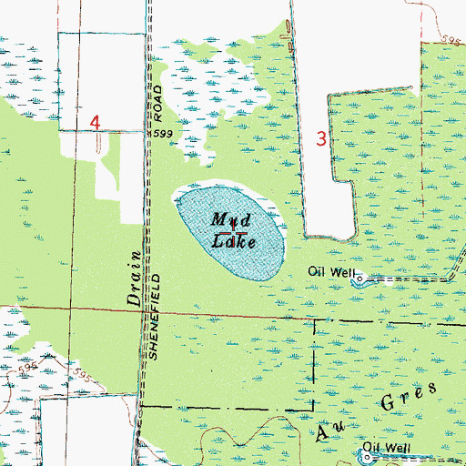 Topographic Map of Mud Lake, MI