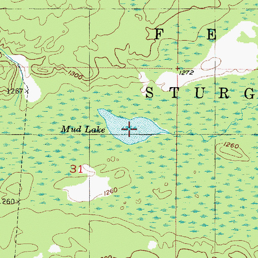 Topographic Map of Mud Lake, MI