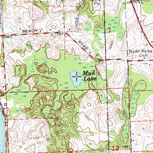 Topographic Map of Mud Lake, MI