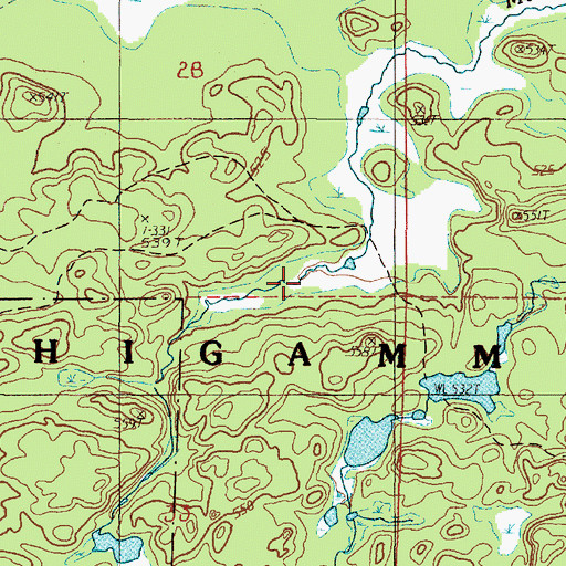 Topographic Map of Mulligan Swamp, MI