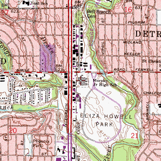 Topographic Map of Murphy Junior High School, MI
