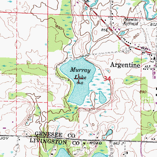 Topographic Map of Murray Lake, MI