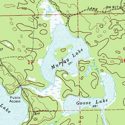 Topographic Map of Murray Lake, MI