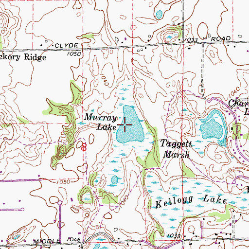 Topographic Map of Murray Lake, MI