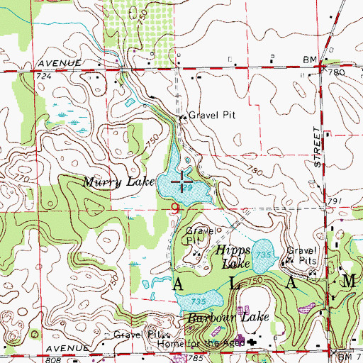 Topographic Map of Murry Lake, MI